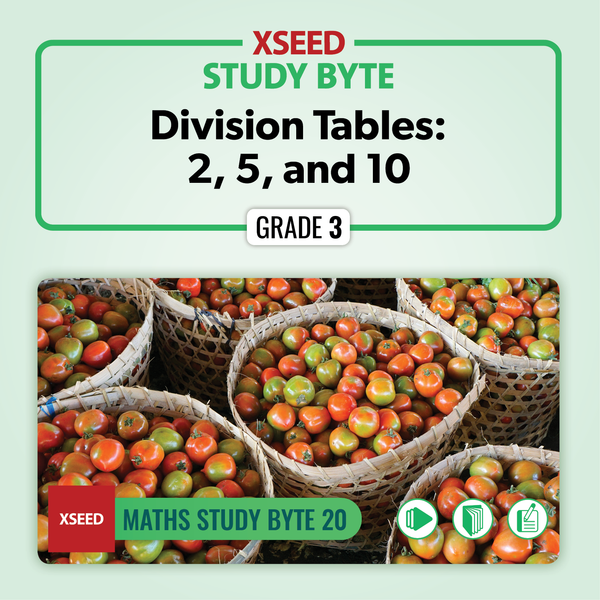 Division Tables: 2, 5, and 10 [G3]