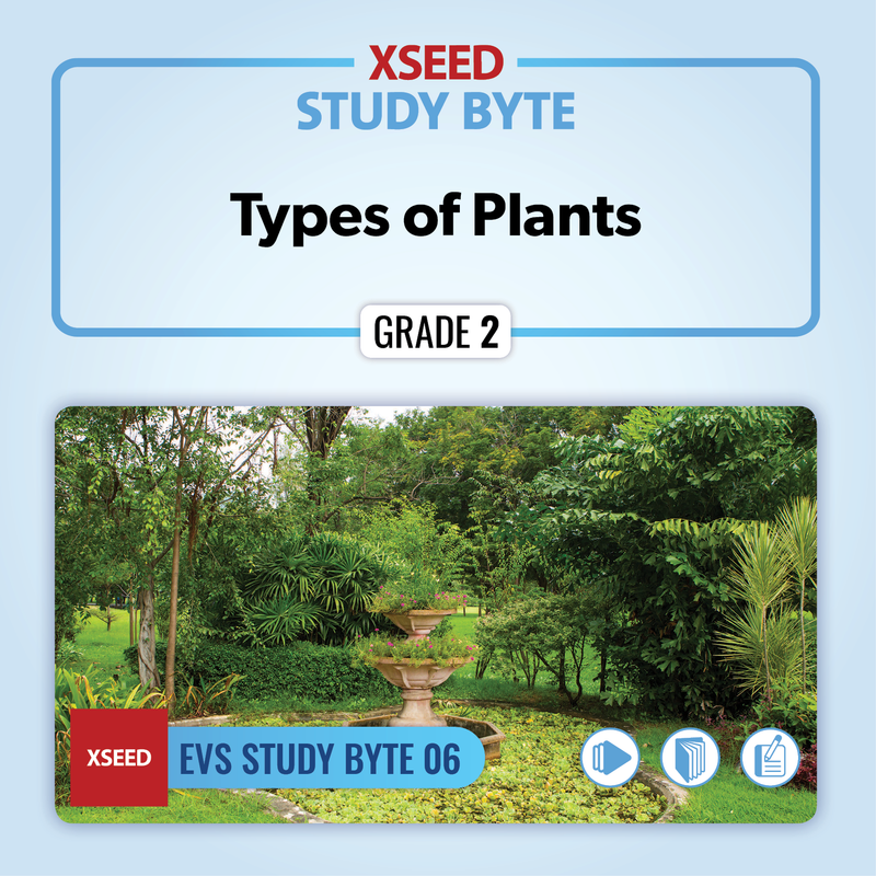 Types of Plants [G2]