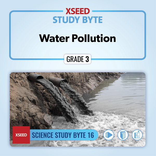 Water Pollution [G3]