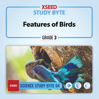 Features of Birds [G3]