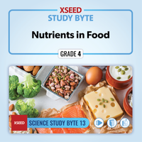 Nutrients in Food [G4]