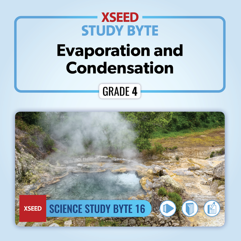 Evaporation and Condensation [G4]