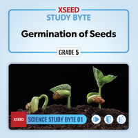 Germination of Seeds [G5]