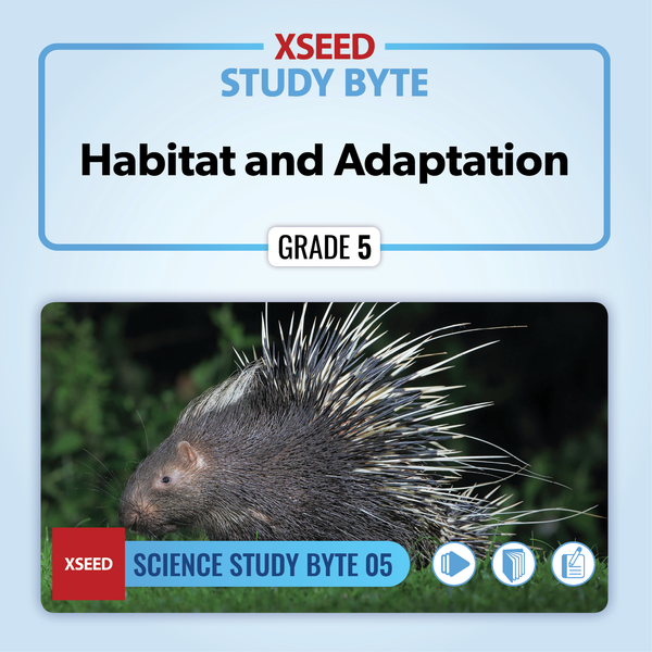 Habitat and Adaptation [G5]