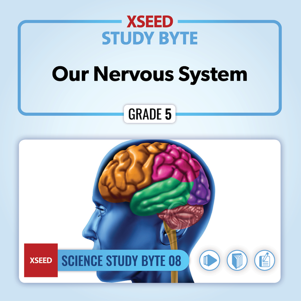 Our Nervous System [G5]