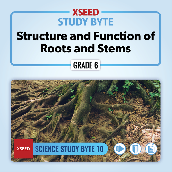 Structure and Function of Roots and Stems [G6]