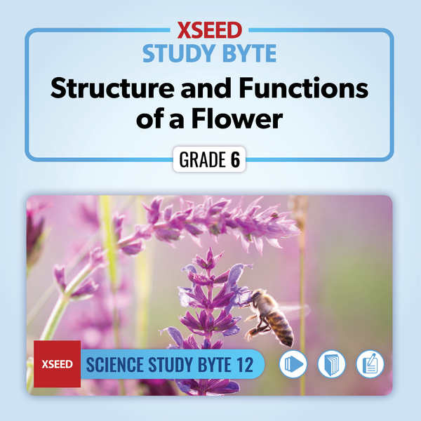 Structure and Functions of a Flower [G6]