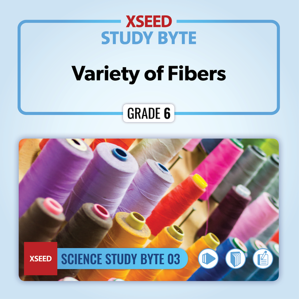 Variety of Fibers [G6]