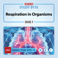 Respiration in Organisms [G7]