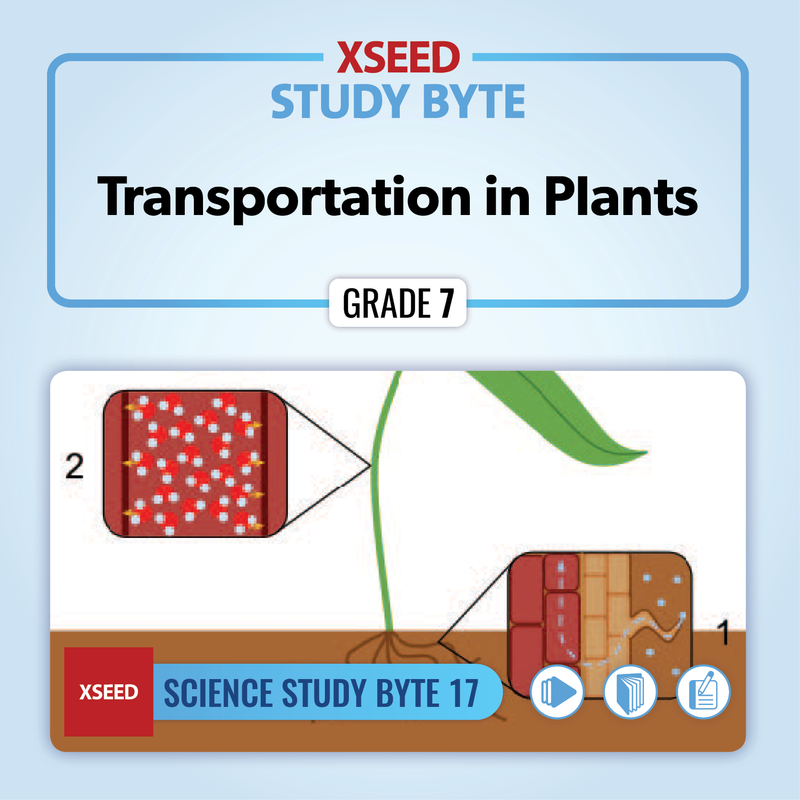 Transportation in Plants [G7]