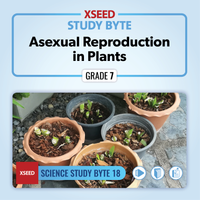 Asexual Reproduction in Plants [G7]