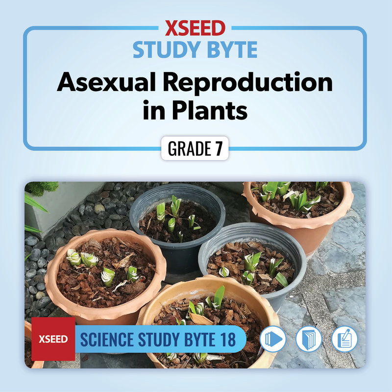 Asexual Reproduction in Plants [G7]