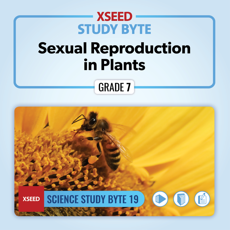 Sexual Reproduction in Plants [G7]