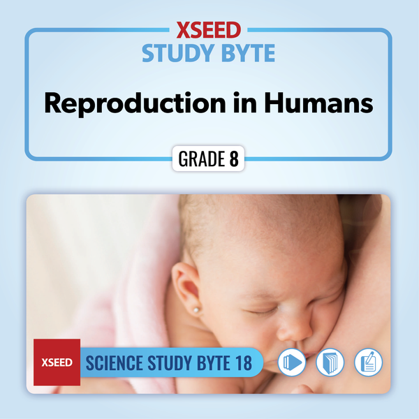 Reproduction in Humans [G8]