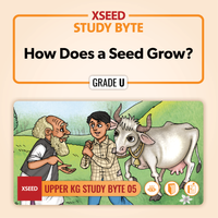 How Does a Seed Grow? [UKG]